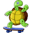 Cartoon water turtle on a blue background Vector Image