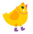 cute chicken in boots funny animal personage vector image