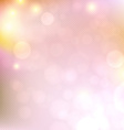 summer blurred background vector image