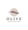 lineart olive branch logo tree plant vector image vector image