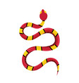 eastern milk snake tropical toxic reptile vector image