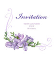 purple freesia flowers vector image