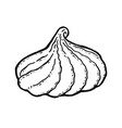 sketch of whipped cream vector image