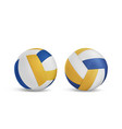 volleyball balls set isolated on white background vector image