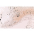 abstract marble background vector image vector image