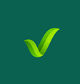 eco leaves check mark logo icon design template vector image vector image