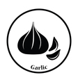 garlic icon vector image