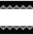 lace fabric background vector image vector image