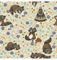 seamless pattern with raccoons in cartoon vector image vector image