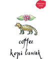 asian palm civet - luwak the animal used vector image vector image