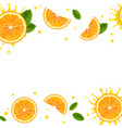 banner with juicy orange slices vector image vector image