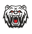 angry bear vector image vector image