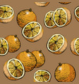citrus seamless pattern with oranges vector image vector image