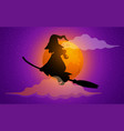 cartoon of an ugly and scary witch soaring vector image vector image