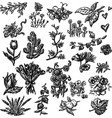 a set different floral doodles vector image