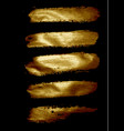 set of golden brushes on a black vector image vector image