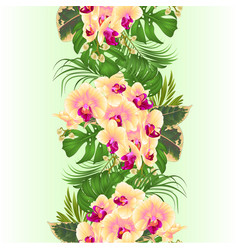 Floral border seamless background with tropical Vector Image