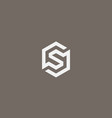 abstract letter s logo icon design modern vector image