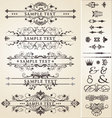 calligraphic design elements vector image