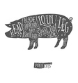 american cuts of pork scheme vector image vector image