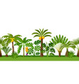 seamless pattern with tropical palm trees exotic vector image vector image
