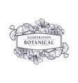 hand drawn botanical floral frame vector image