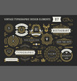 vintage typographic decorative ornament design vector image vector image