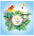 summer sale card with cockatoo and scarlet macaw vector image