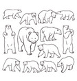 set of hand drawn bear vector image