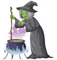 wicked old witch character on white background vector image