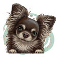chihuahua dog wall sticker vector image vector image