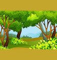 forest scene with tall trees vector image