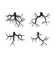 set of black tree roots outline vector image vector image
