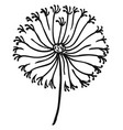 dandelion doodle black floral icon spring symbol vector image vector image