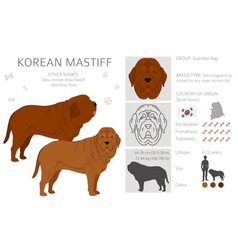 Korean yellow spitz clipart different coat colors Vector Image