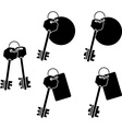 set of keys sixth variant vector image vector image