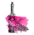 wine grape bottle grape twig background vector image