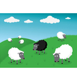 black and white sheep vector image vector image