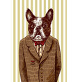 hand drawn bulldog sketch vector image