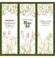 olive oil sketch banner set for food theme design vector image