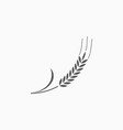 wheat icon vector image
