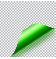 curled corner of paper vector image vector image