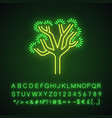 joshua tree neon light icon vector image