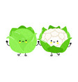 cabbage and cauliflower card hand drawn doodle vector image