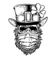 irish skull with hat and clover medical face mask vector image