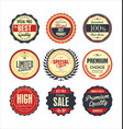 set retro vintage badges 1 vector image