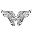 two bird wings owl eagle angel or hawk vector image