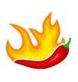 hot red pepper icon burning spicy paprika vector image vector image