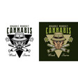 marijuana growing emblem badge label vector image