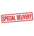 special delivery sign or stamp vector image vector image